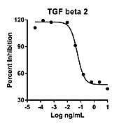 Humankine™ Recombinant Human TGF beta 2