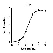 Humankine™ Recombinant Human IL-6
