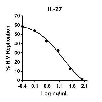 Humankine™ Recombinant Human IL-27