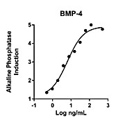 Humankine™ Recombinant Human BMP-4