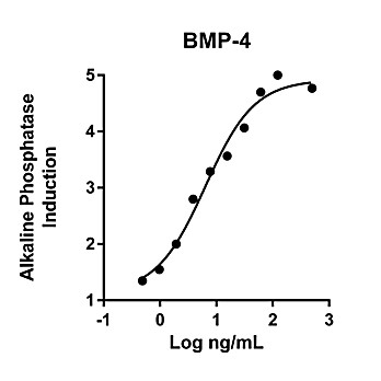 Humankine™ Recombinant Human BMP-4