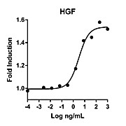 Humankine™ Recombinant Human HGF