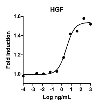 Humankine™ Recombinant Human HGF