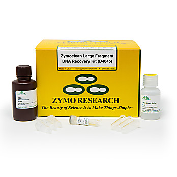 Zymoclean Large Fragment DNA Recovery Kit