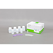 AccuPrep® AccuPrep® Plasmid Mini Extraction Kit
