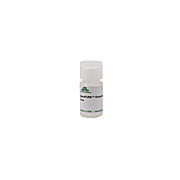 ZymoPURE Elution Buffer