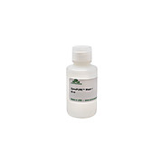 ZymoPURE Wash 1