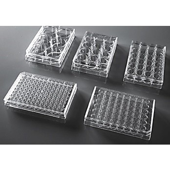 Denville® Cell Culture Plates