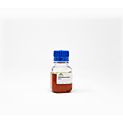Overexpression Broth (OB)