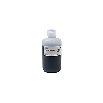 ZP Express Lysis Buffer
