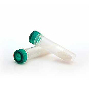 DNA/RNA Shield™ Lysis Tubes (Microbe)