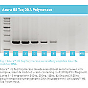Azura™ 2x HS Taq Red Mix