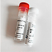 AzuraFlex™ cDNA Synthesis Kit
