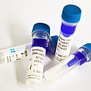 Azura PureView™ DNA Ladder