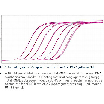 AzuraQuant™ cDNA Synthesis Kit