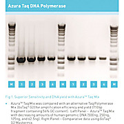 Azura™ 2x Taq Mix