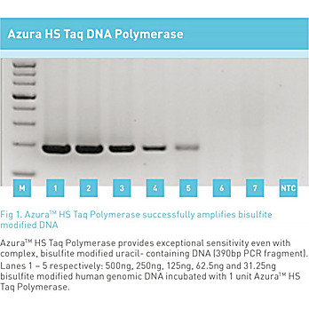 Azura™ HS Taq DNA Polymerase