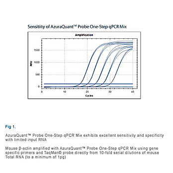Azuraquant™ Probe 1-Step qRT-PCR Kit