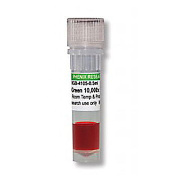 GelRed® Nucleic Acid Stain, 10,000X