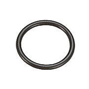Hyper Skimmer Cone O-Ring for NexION 1000/2000/300/350