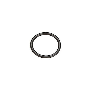 Hyper Skimmer Cone O-Ring for NexION 1000/2000/300/350