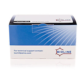 ACCUZYME™ DNA Polymerase