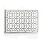 Round 96 Deep Well Storage Plates
