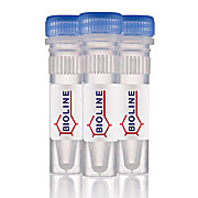 Uracil DNA Glycosylase (UDG)