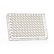FrameStar 96 Well Skirted Optical Bottom PCR Plate, clear PP wells, clear PC frame, low profile, cut corner H1, 50 plates per case