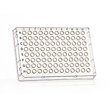 FrameStar 96 Well Skirted Optical Bottom PCR Plate, clear PP wells, clear PC frame, low profile, cut corner H1, 50 plates per case