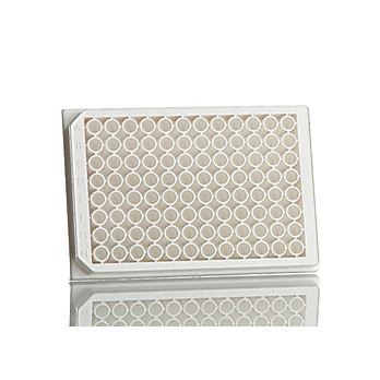 White Solid Bottom Assay Microplates
