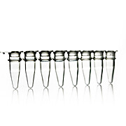 8 Well PCR Tube Strips