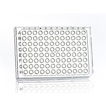 FrameStar® 96 Well Semi-Skirted PCR Plates, Roche Style