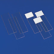 Evalue Microscope Slides
