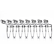8 Well PCR Tube Strips, with Attached Caps