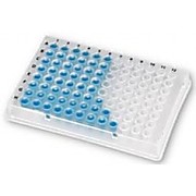 96 Well PCR Plates, Full Skirted