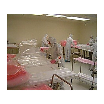 Bags, Liberty Pkg, Cleanroom Nylon, Level 50 Cleaned, Clear, 2 mil Thickness, 4"x6", Double Bagged and Certified Clean, 100EA/PK, 50PK/CS