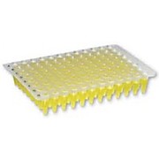 96 Well PCR Plates, Non-Skirted