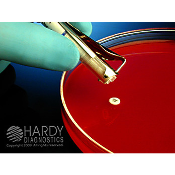 Clindamycin, CC-2, HardyDisk™ AST