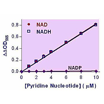 EnzyChrom™ NAD/NADH Assay Kit