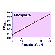 Malachite Green Phosphate Assay Kit