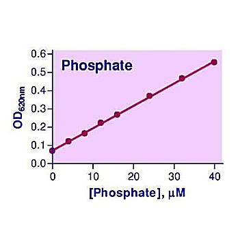 Malachite Green Phosphate Assay Kit
