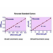 EnzyChrom™ Pyruvate Assay Kit