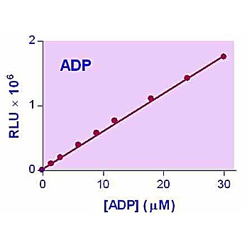 EnzyLight™ ADP Assay Kit