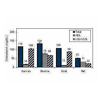 EnzyChrom™ AF HDL and LDL/VLDL Assay Kit