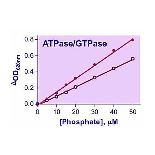 QuantiChrom™ GTPase Assay Kit
