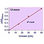 QuantiChrom™ Urease Assay Kit