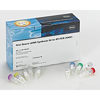 ROCHE First Strand cDNA Synthesis Kit for RT-PCR (AMV)