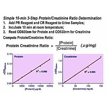 QuantiChrom™ Protein Creatinine Ratio Assay Kit