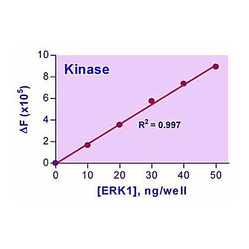 EnzyChrom™ Kinase Assay Kit